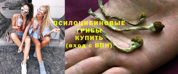 герыч Россошь